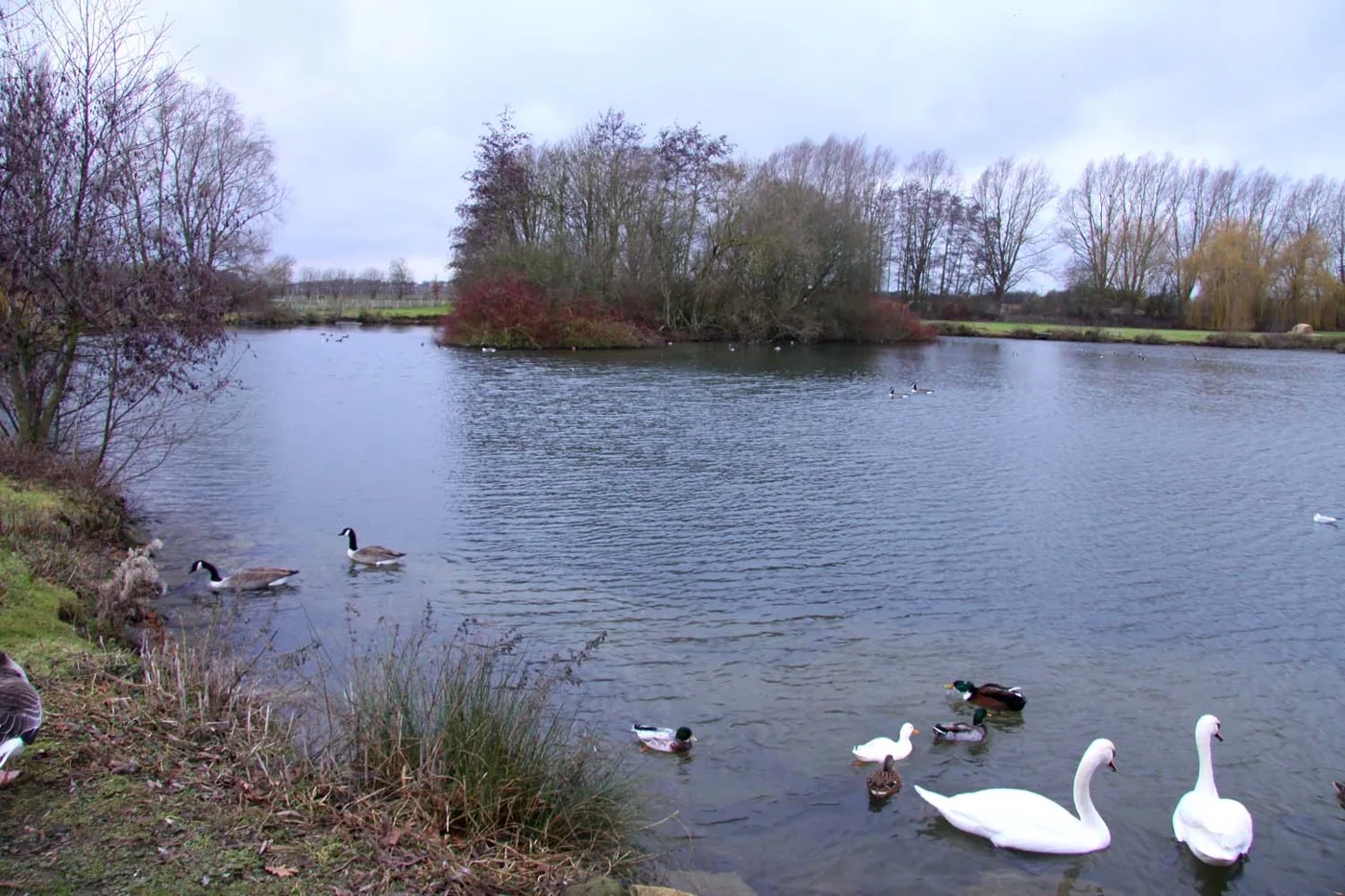 The lake at Millets Farm, Frilford, which runs a pumpkin patch, an evening trail and a circus over half term